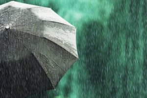 بارش باران و وزش باد پیش‌ روی البرز