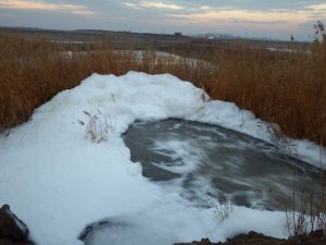 فاضلاب صنعتی دوباره روانه تالاب صالحیه شد