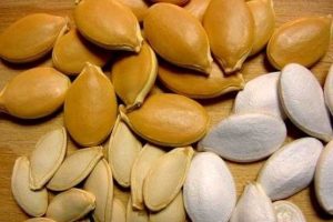 مصرف کدام تخمه ها برای بدن مفید است؟