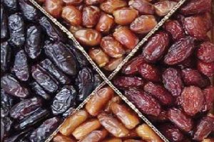 چاق ها خرما نخورند