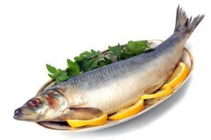 گرانی بنزین بر روی قیمت مرغ و ماهی اثر داشته است؟!