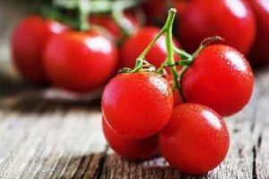 نخستین گوجه‌ فرنگی شبیه به انگور تولید شد + عکس