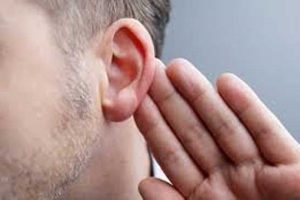 شکل گوش ها اسرار سلامت بدن را فاش می‌کند