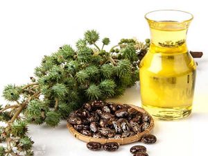 رشد مو با یک روغن!