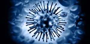 مهرماه؛ موسسه رازی میزبان و مجری همایش یک روزه آنفلوانزای پرندگان