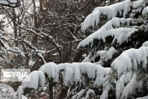 مدیریت بحران البرز آماده موج جدید بارش ها شد مدیریت بحران البرز آماده موج جدید بارش ها شد