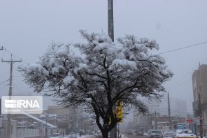 زنگ آماده باش مدیریت شهری کرج به صدا درآمد