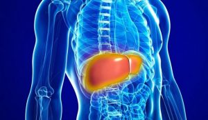 رابطه ویتامین دی با کبد چرب