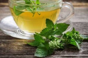 درمان بیماری ها با گیاه بادرنجبویه