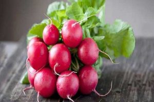 این سبزی اشتهایتان را سرکوب می‌کند