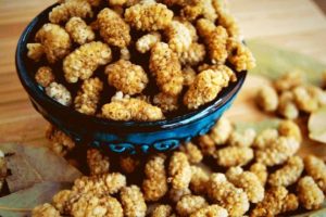 معجزه توت خشک برای درمان بیماری ها