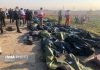 جان باختن ۱۴۷ ایرانی‌ در حادثه سقوط هواپیما