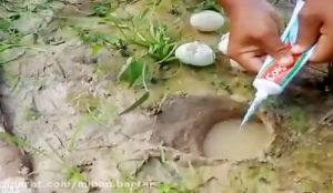 ماهیگیری با خمیر دندان و تخم مرغ