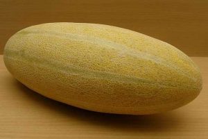 میگرنی ها این غذاها را نخورند