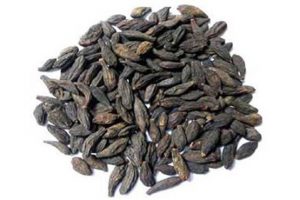 داروی معجزه آسای امام موسی کاظم (ع) برای سرما خوردگی