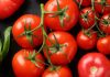 فواید شگفت انگیز گوجه فرنگی