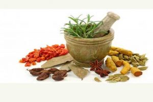 این غذاها باعث تقویت سیستم ایمنی بدن می شود