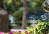 امروز کرج زیبای من احتیاج به مراقبت دارد