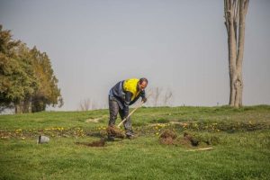 گل آرایی ۲۷ هکتاری کاخ تاریخی مروارید کرج