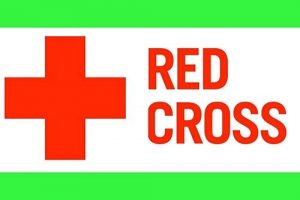 ایران در اولویت کمک های صلیب سرخ قرار گرفت