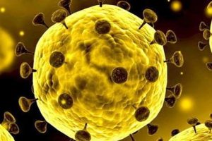 کرونا را با این نکات شکست دهید