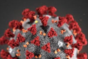 جدیدترین آمارها از کرونا در جهان