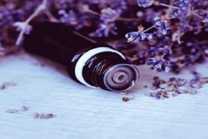۱۰ کاربرد بی نظیر روغن اسطوخودوس