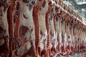 کاهش نسبی قیمت گوشت در آستانه ماه رمضان