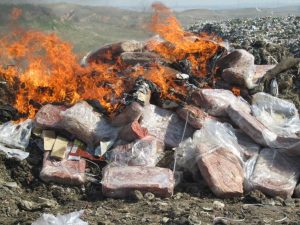 معدوم سازی ۳۰۰ کیلوگرم گوشت فاسد در فردیس