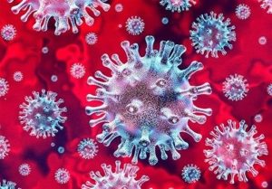 همه چیز در مورد ساختار ویروس کرونا