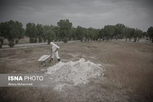 امکان انتقال فوت شدگان کرونا به استان های دیگر وجود دارد