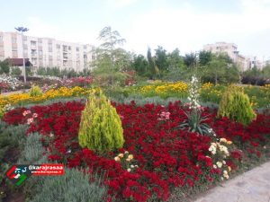 نمایی از پارک زیبای مهر در منطقه کیانمهر مهرشهر