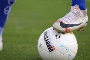 وزارت ورزش برای دلالان فوتبال برنامه دارد