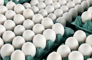 ماجرای معدوم کردن ۱۵ میلیون قطعه تخم مرغ چه بود؟