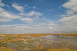 تالاب صالحیه به کانون گرد و غبار در البرز تبدیل شده است