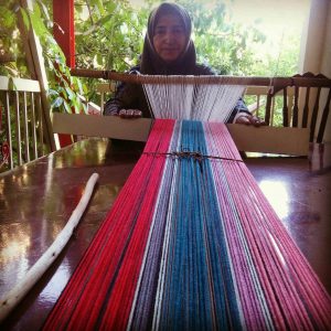 تارنمای بذر جاجیم در روستای ملک فالیز خودنمایی می کند