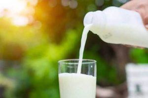توزیع شیر در بین دانش آموزان البرزی