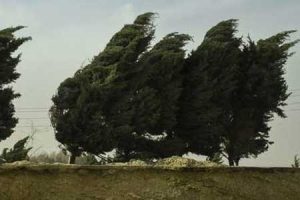 افزایش سرعت باد در هفته آینده/ ماندگاری هوای خنک در نوار شمالی کشور