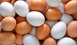 ثبات در قیمت مرغ و تخم مرغ در البرز