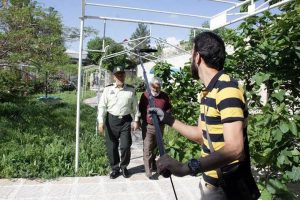 تلویزیون برای تابستان چه سریال هایی دارد؟