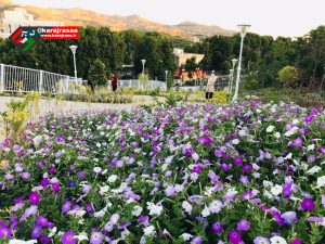 آمادگی سبزبانان برای میزبانی شایسته در روز طبیعت