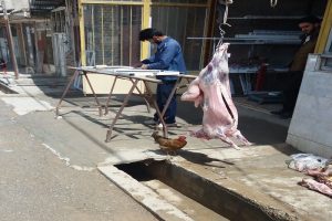 هشدار دامپزشکی ساوجبلاغ درخصوص بیماری تب کریمه کنگو
