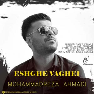 آهنگ محمدرضا احمدی عشق واقعی