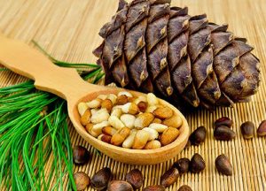 چلغوز چیست؟