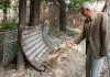 جای جیپ شعبان بی مخ هنوز بر در خانه مصدق باقی است + عکس