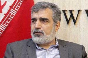 عوامل خرابکاری در نطنز شناسایی شدند