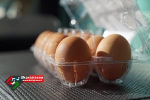 اجرای کامل طرح بسته بندی تخم مرغ در البرز