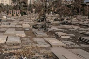 بازداشت قبر فروش کلاهبردار