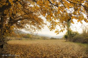 طبیعت پاییزی ارسباران