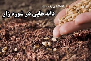 نگاشته ی یک معلم؛ دانه هایی در شوره زار